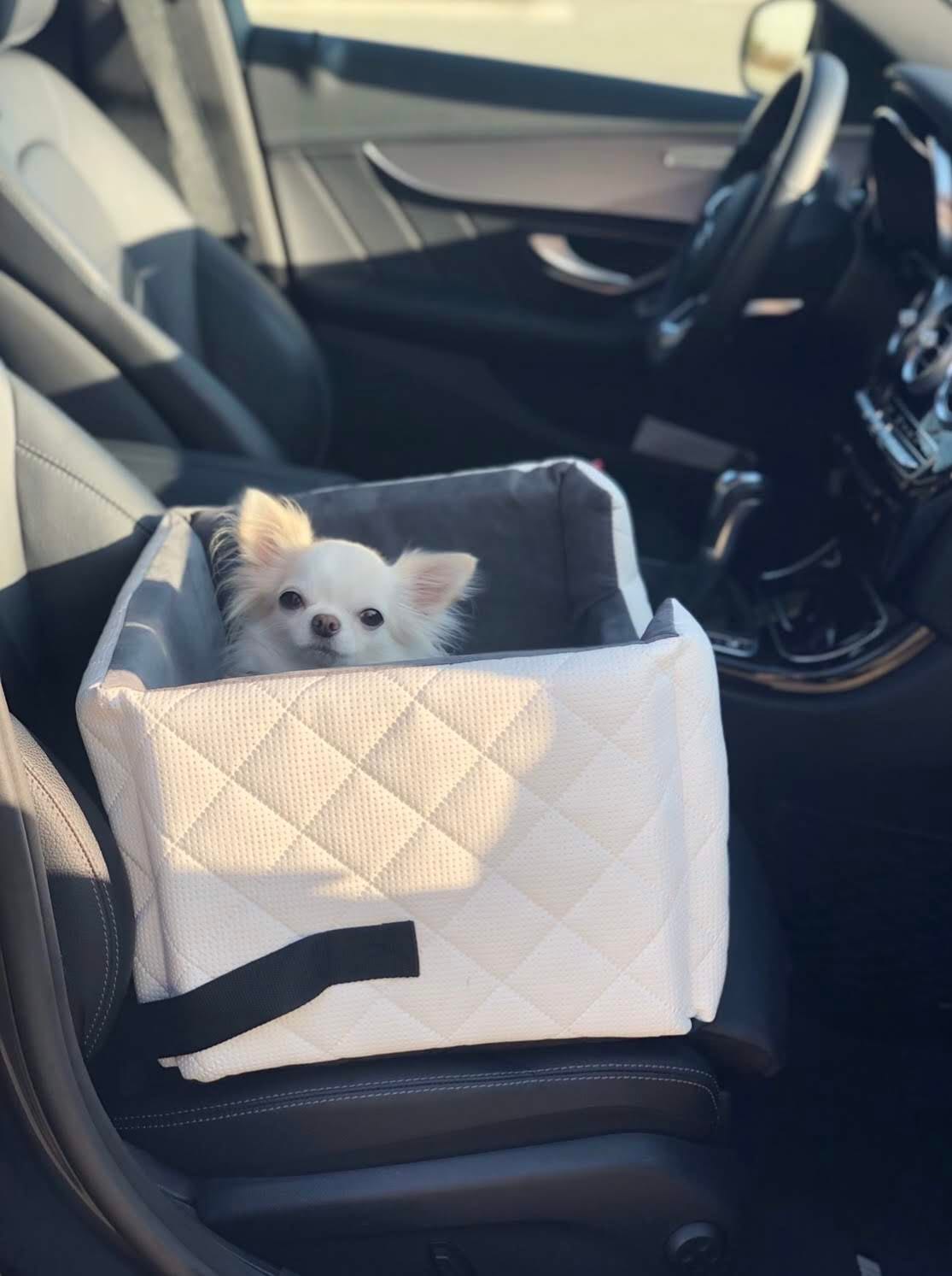 Fotelik samochodowy dla psa Mia Lux biały Dog’s Comfort
